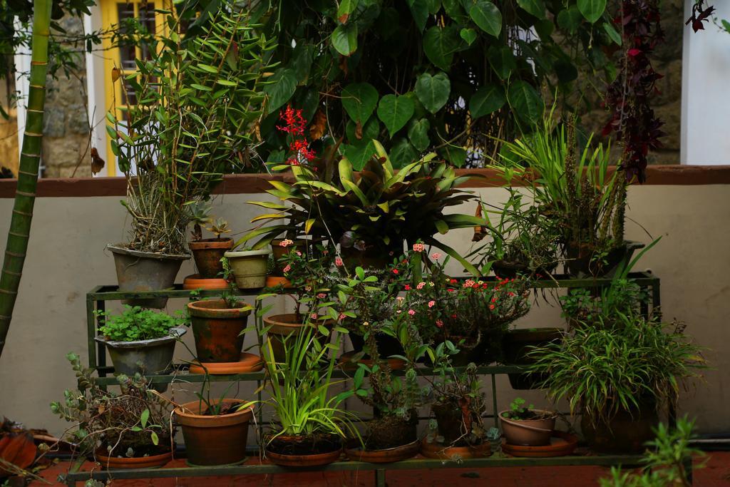 Pavithram Homestay Munnar Exterior photo